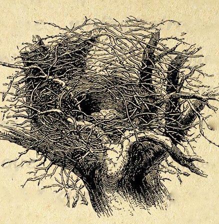 Siddanth Aartisan plot nest